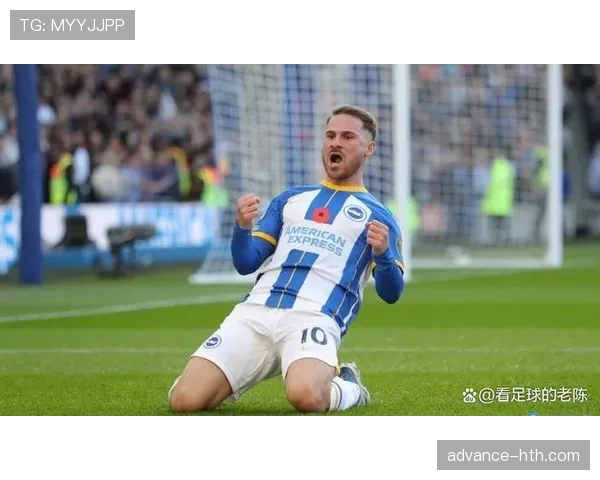 布莱顿海鸥新赛季竞争力显著提升，球队未来发展备受关注