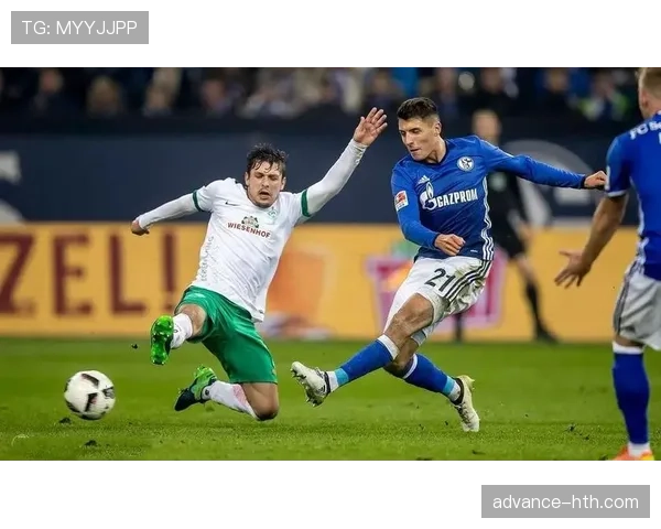 沙尔克04防守体系持续稳固，强势助力球队重返巅峰